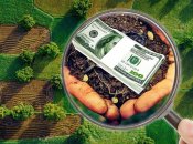 С 1 июля в Украине заработает рынок земли: что важно знать (инфографика)