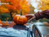 Тыква оказалась действенным средством для натирания лобового стекла (изображение создано с помощью ИИ)