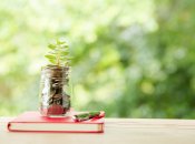 Лавровий лист у гаманці символізує удачу та процвітання