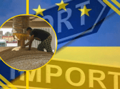 "Торговый безвиз" отменят