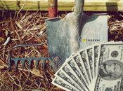 Что посадить на участке, чтобы было больше денег и удачи