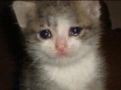 Овен, Рак та Водолій можуть скоро втратити гроші