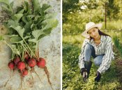 Когда потеплело - самое время сеять редиску