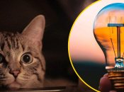 Відключення світла в Україні