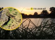 Щоб розгледіти у обрисах водойми дівчину, треба включити уяву