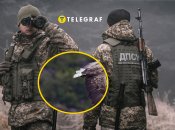 Пограничная служба обнаружила раненого редкого хищника