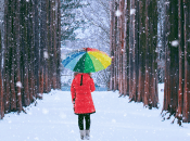 Якою буде погода в Україні в середу