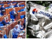 ПАРЄ затвердила резолюцію щодо збитого над Україною Boeing