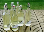 Як приготувати лікер із квіточок бузини