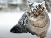 Зима 2022-2023: прогноз погоди