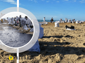 Мазут в Анапе собирают волонтеры