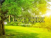 Тест дня от "Телеграфа"