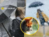 Всю територію країни накриють опади