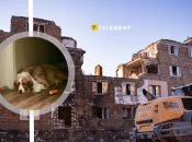 На руїнах у Києві сумна собака чекала на господаря