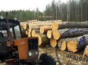 Лісозаготівля