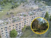 Поселок Полесское на Киевщине