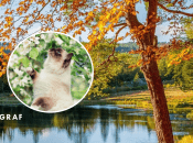 Тепла погода