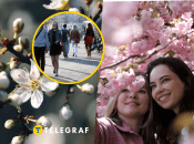 Уже совсем скоро в стране начнут цвести деревья.