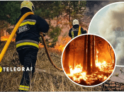 В Обуховке горит лес