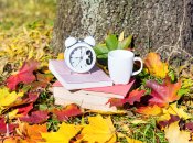 Осеннее равноденствие в 2023 году выпадает на 23 сентября