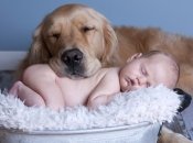 20 безумно милых фото младенцев и собак