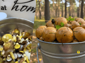 Лісові гриби