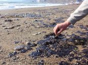 Мазут на березі моря