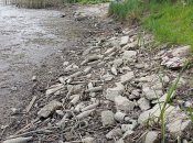 Дно Тустановецького озера вкрите сміттям