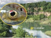 Исчезающие виды рыб