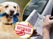 Найсуворіше адміністративне стягнення може сягати понад 5 тисяч гривень
