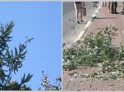 Дроны снова портят жизнь россиянам