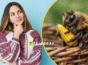 Что означает это слово?