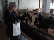 Бывшая доцент НАУ Лариса Журавлева на ферме чувствует себя комфортно