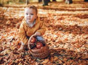 Сегодня - седьмой день сентября 2024 года