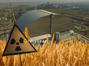 Навколо Чорнобиля — тисячі гектарів полів