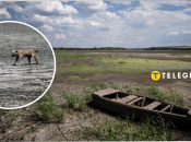 Как сейчас выглядит Ханженковское водохранилище