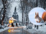 Снег в Украине