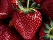 Урожай збільшиться в рази