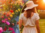 Які квіти посадити у червні