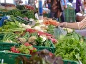 Вилов риби в Україні в Дніпрі та Чорному морі заборонено