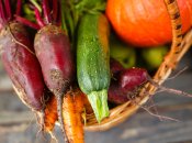 Свекла и морковь - холодоустойчивые культуры