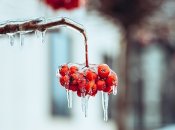 Месяц начнется с оттепели