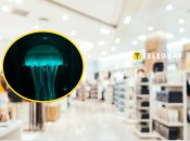 Настільна лампа у вигляді медузи