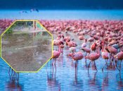 Потоп у Києві