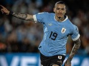 Дарвин Нуньес