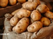 Зберігайте її правильно, щоб насолоджуватися свіжістю та смаком протягом тривалого часу (фото створене з допомогою ШІ)