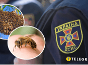 Рятувальники ліквідували два гнізда бджіл на Тернопільщині