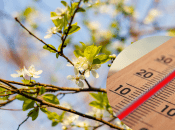 Прогноз погоды