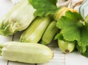 Плоды кабачков содержат много витамина C