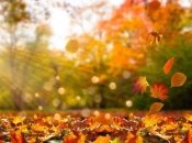 Погода в Україні